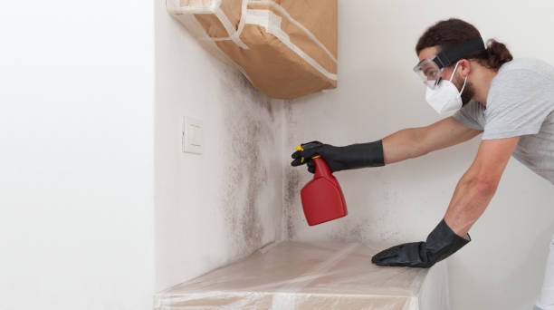 Professional Mold Testing technician working in Watertown, MA