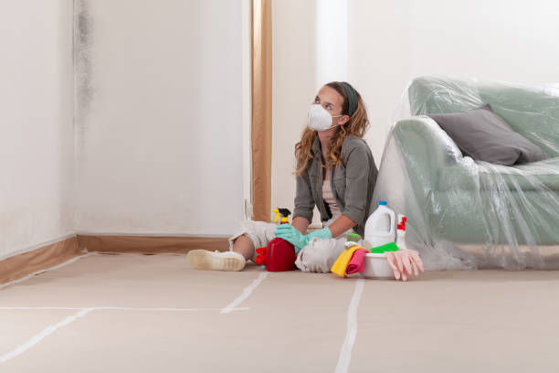 Reliable Mold Testing contractor in Watertown, MA by WQB Mold Removal